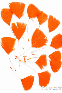 Verenblaadjes - 6-8 x 3-4 cm - oranje